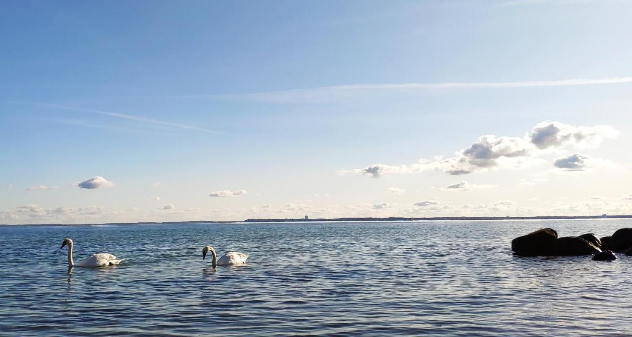 Zum Wohlfuehlen Ferienwohnung Fuer Max 5 Erwachsene Und 1 Kind, Schwimmbad Vor Der Tuer, Tiere Erlaubt 지르크도르프 외부 사진